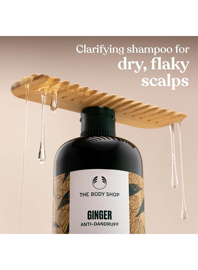 Ginger Anti-Dandruff Shampoo – Clarifying Shampoo for Dry, Flaky & Itchy Scalp, With Ginger Root Density Complex, Soothes & Clears Flakes, Promotes Healthy Hair Growth, Vegan Bestseller, 400ml - image 3