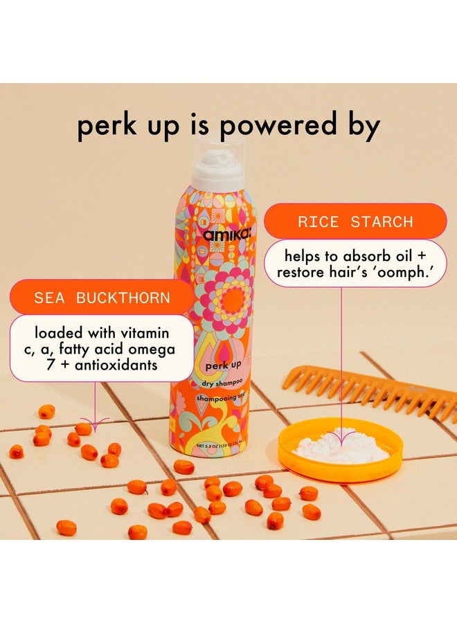 Perk Up Talcfree Dry Shampoo 9.5Oz - image 4