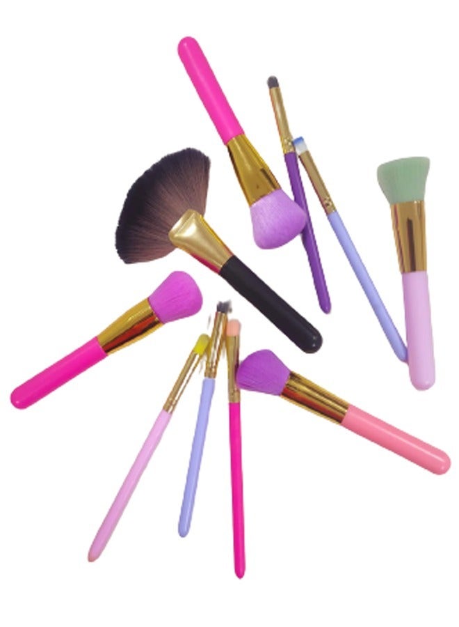 10 Piece Professional Make-Up Brush Set