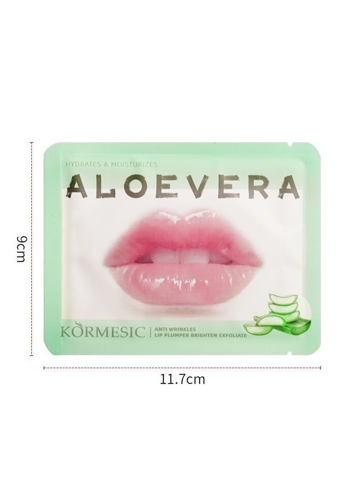 Aloe Vera Lip Mask 5pcs 8g