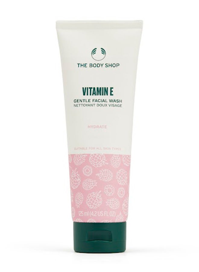Vitamin E Gentle Face Wash – Hydrating Facial Cleanser with Vitamin E & Raspberry Seed Oil | Gently Removes Impurities, Soft Silky Lather, Non-Drying | Suitable for All Skin Types, 125ml