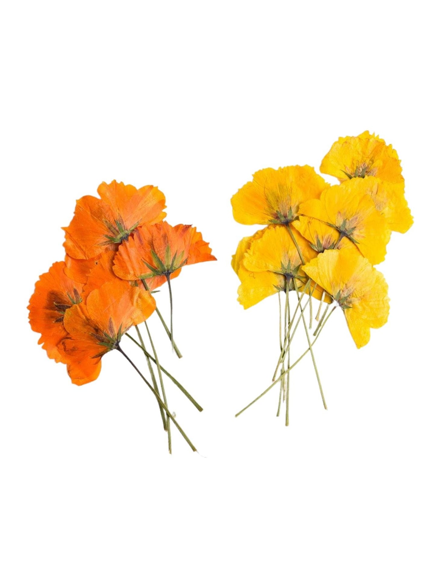 Dried Pressed Flowers, Fall Yellow Dried Flowers Orange Pressed Flowers for Crafts, Pressed Dried Flowers Framed Wall Art Orange24Pcs, Yellow24Pcs
