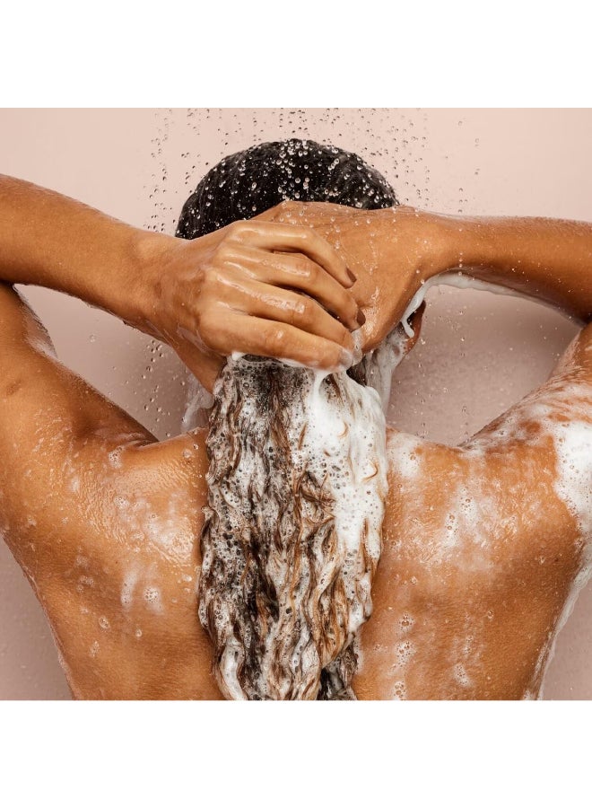 The Rich One Moisture Repair Shampoo 300ml | Hydrating & Strengthening Moisture Repair Shampoo for Dry Damaged & Colour-Treated Hair | Sulphate-Free Gentle Cleansing Shampoo for Soft Frizz-Free Hair | Luxury Hair Shampoo - image 5