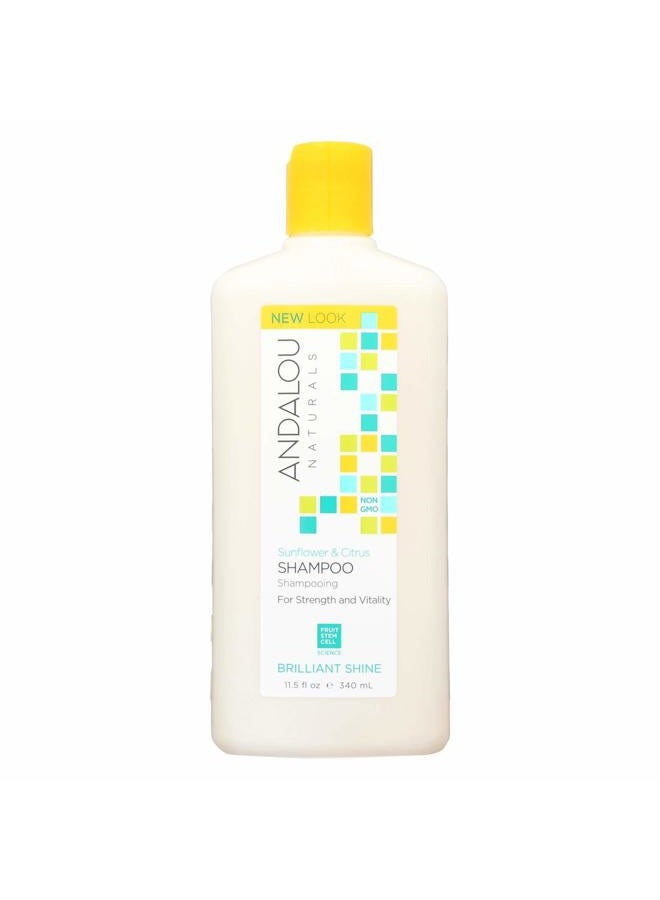 Sunflower and Citrus Brilliant Shine Shampoo, 11.5 Ounce