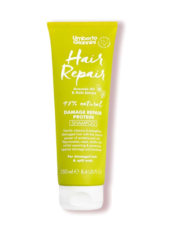 Umberto Giannini Hair Repair Shampoo 250ml – Structural Rebuilding for Fragile Hair, Plant Proteins, Strengthening Wash for Brittleness Relief 250ml