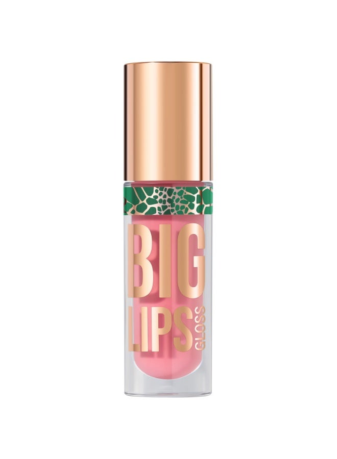 Lipgloss Big Lips shade 07