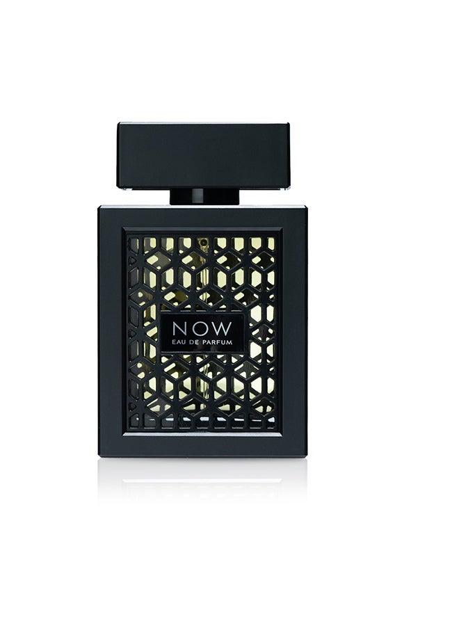 Spray Now 100 ML #