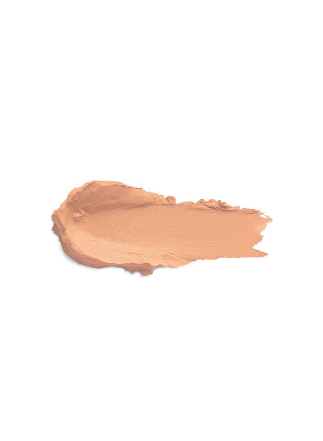 Universal Stick Concealer 10 - image 2