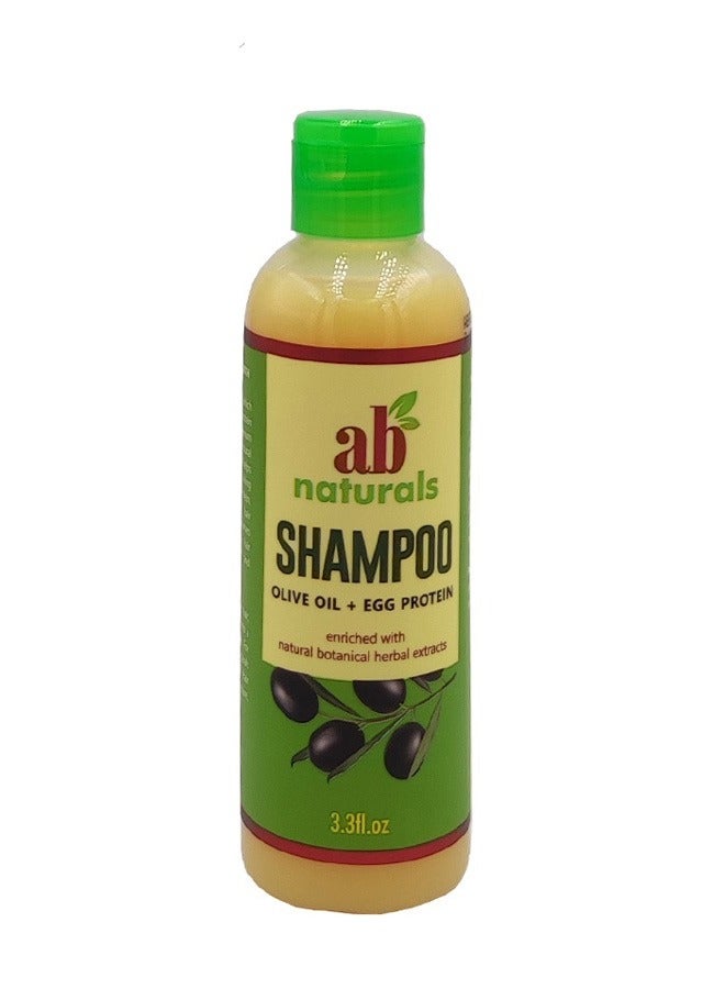 Shampoo Olive Oil and Egg Protein 3.3 oz