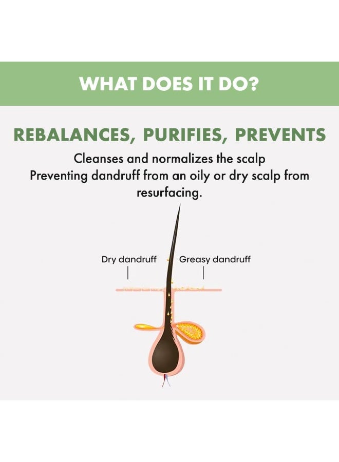Semi Di Lino Scalp Rebalance Gentle Exfoliating Scrub 150ml | Anti-Dandruff Scalp Scrub, Removes Flakes, Deep Cleansing And Promotes Healthy Scalp Balance - image 3