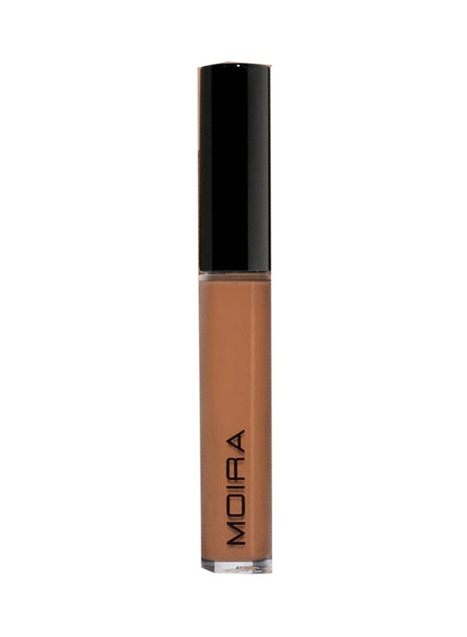 Lavish Creamy Concealer (250, Affogato)