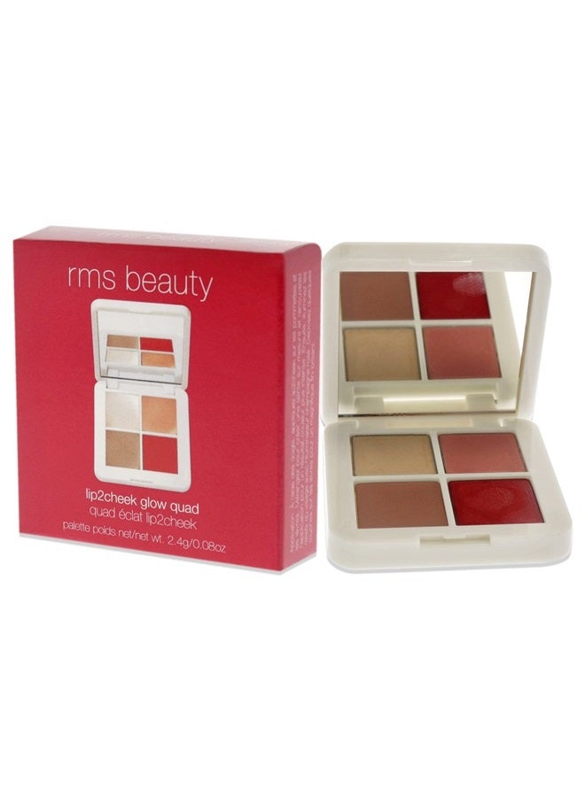 Living Luminizer Glow Quad Mini