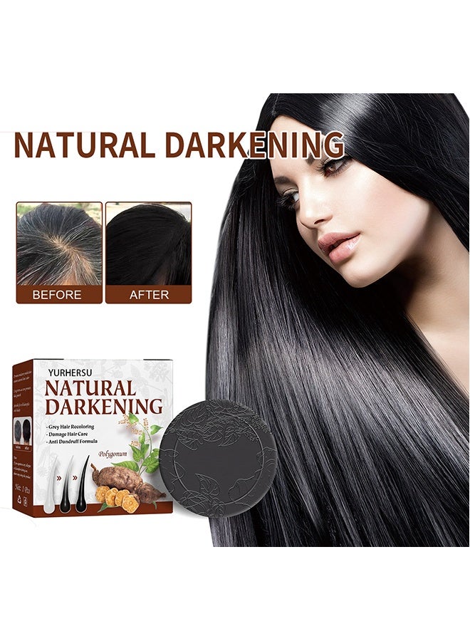 Natural Darkening-Polygonum Multiflorum Shampoo Soap100g ，Black and Thick Hair Polygonum Soap Bar, He Shou Wu Shampoo Soap, Natural Polygonum Hair Soap, Promotes Hair Growth and Prevents Hair Loss