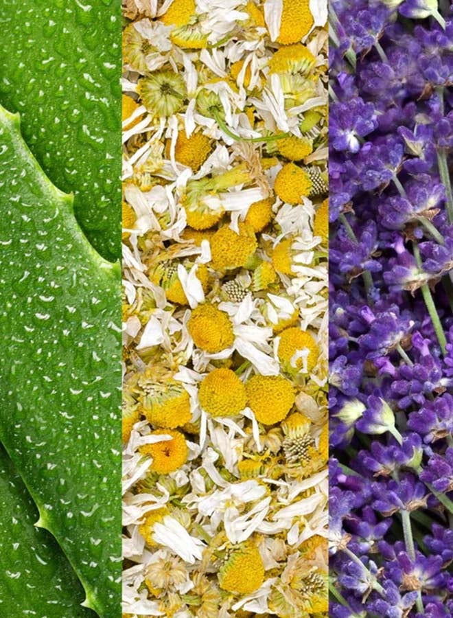Facial Spray with Aloe, Chamomile & Lavender 118ml | Soothing & Calming Hydrating Face Mist for Sensitive & Dry Skin | Relaxing Floral Toning Spray for Makeup Setting & Skin Refresh | Gentle Daily Facial Mist - image 3