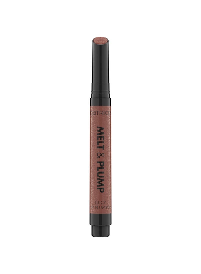 Melt And Plump Juicy Lip Plumper 030