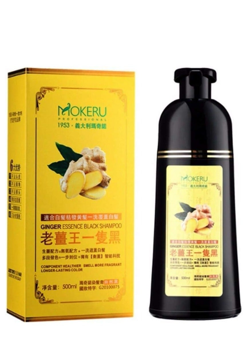Ginger Essence Color Shampoo Natural Black Hair Dye 500 ML