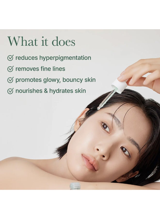 Hyssop Glow Serum, 10% Niacinamide, 12% Vitamin A,C,E - Hydrating, Moisturizing, Anti-Aging Serum for Korean Glass Skin - image 3