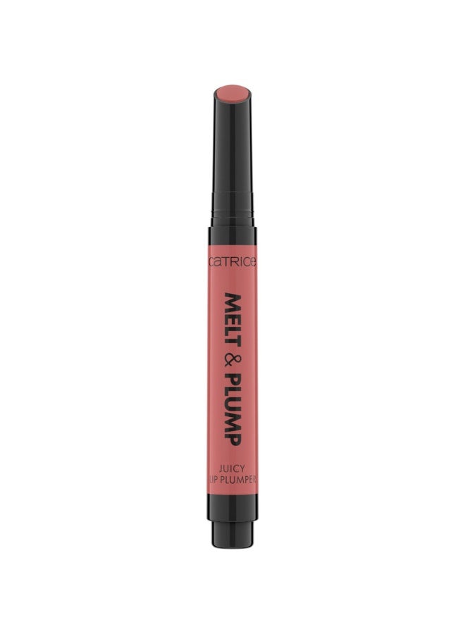 Melt And Plump Juicy Lip Plumper 020