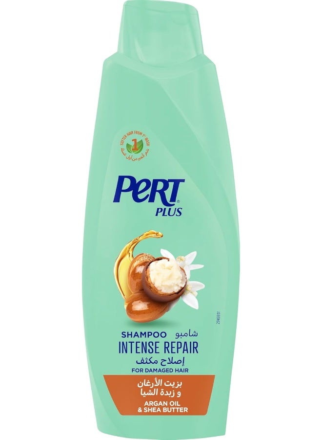 Pert Plus Shampoo - Intense Repair with Argan Oil & Shea Butter, 600ml