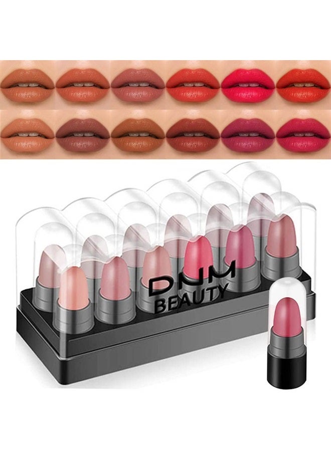 12Pcs Mini Capsule Makeup Lipstick Pills Set, Lápiz Labial Rojo Matte Lipstick Lip Stain Set Women Nude Brown Dark Red Matte Matt Lipsticks Cute Lip Stick Purse Set Labiales Matte Larga Duracion 24