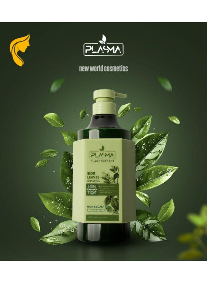 Sidr Leaves Shampoo Hair And Scalp Care 750g