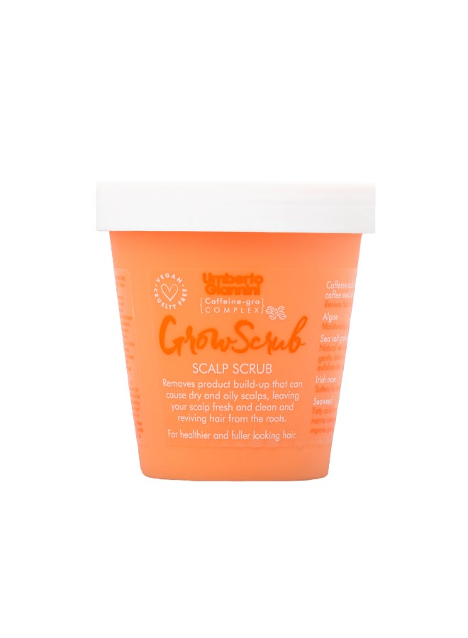 Exfoliating Scalp Scrub for Hair Growth - Removes Product Buildup & Dead Skin, Stimulates the Scalp to Promote Healthy Hair Growth (250 g)