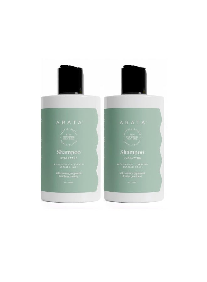 Natural Hydrating Hair Shampoo (300ML) for Soft, Smooth Hair | Paraben and Sulphate Free for Damage Repair & Moisturization | Reduces Frizz, Split Ends with Ginkgo, Ginger & Indian Gooseberry