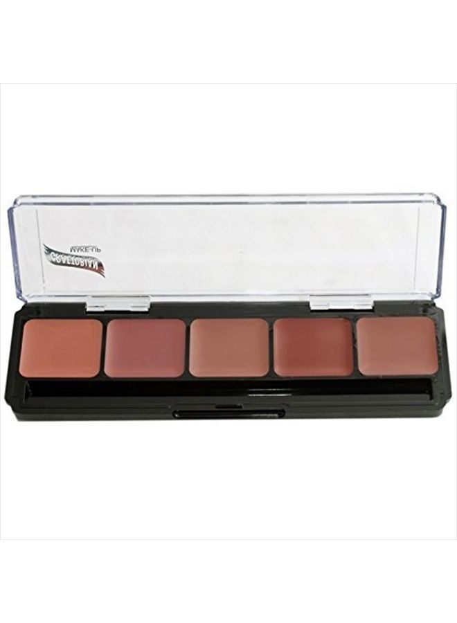 Lip Palettes (Cool Lip Palette)