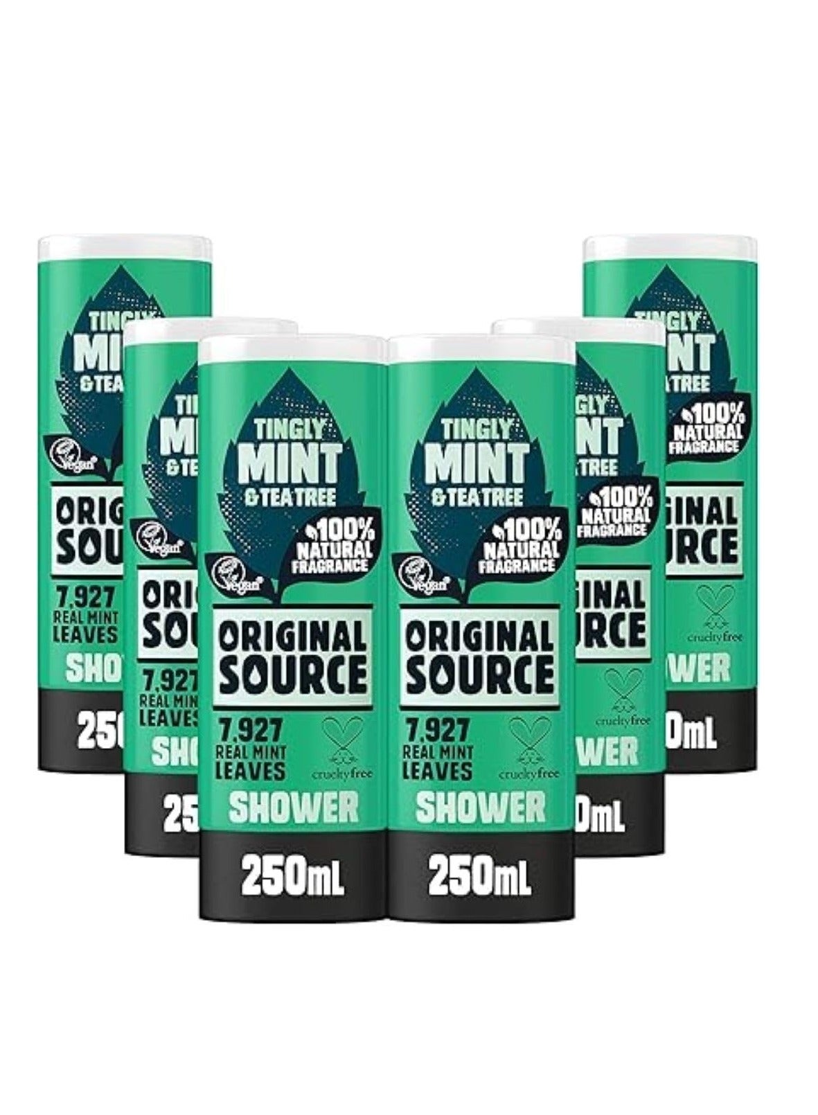 Source Shower Gel Mint and Tea Tree 250ml Pack of 6