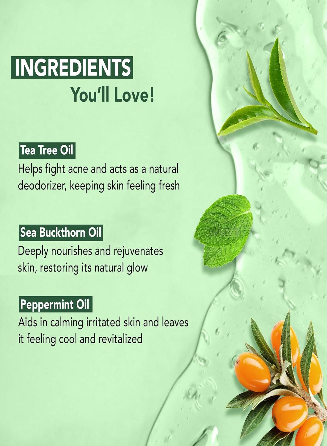 Tea Tree Body Wash with Sea Buckthorn Oil, Peppermint Oil | Detoxifies & Rejuvenates | Long Lasting Fragrance | Sulphate & Paraben Free | Shower Gel for Men and Women | 245ml - image 4