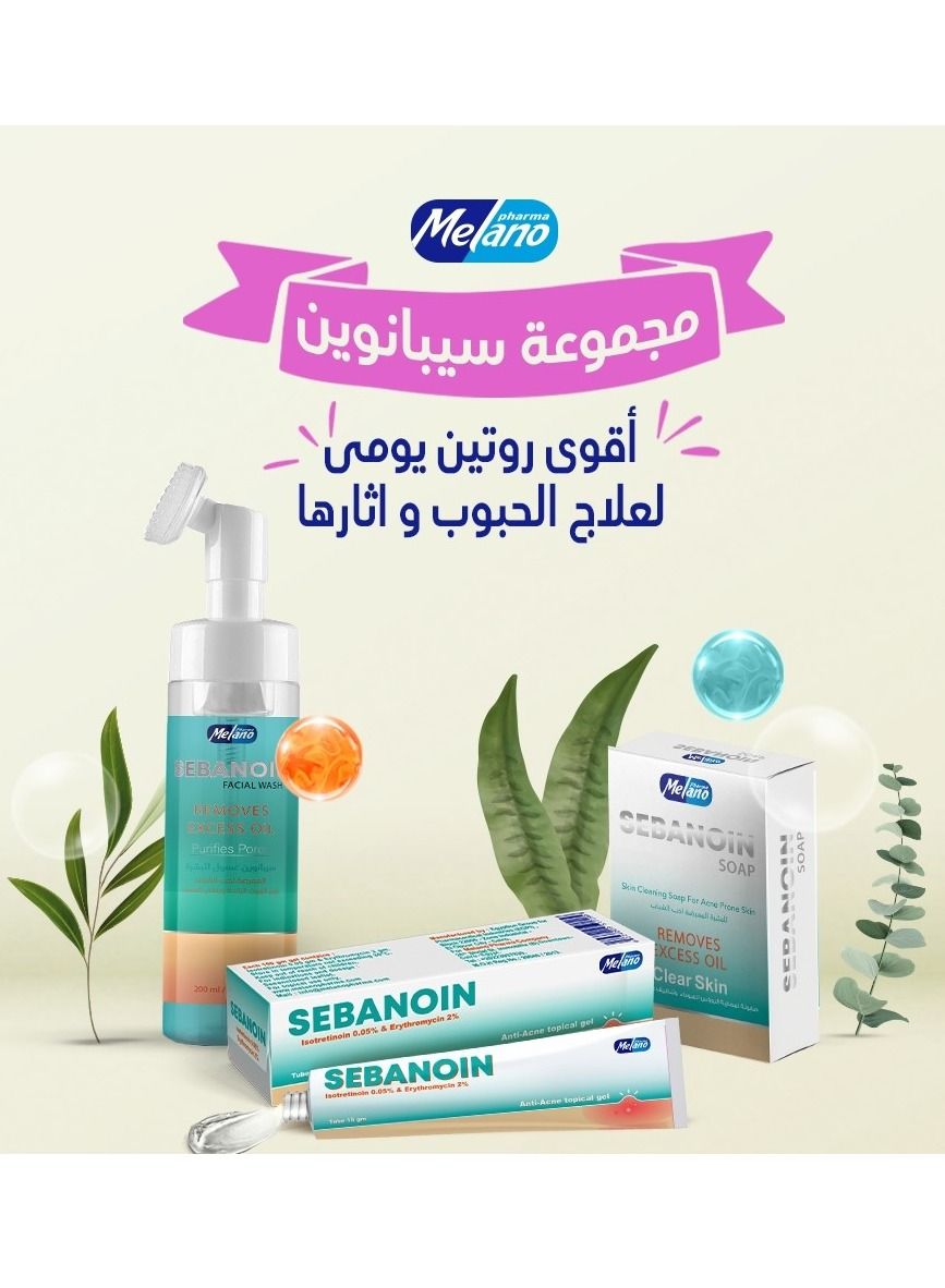 The Best Set Of Sebanoin Cream 15 g + Facial Wash Extra Foaming 150 ml + Soap Clear Skin 100 g