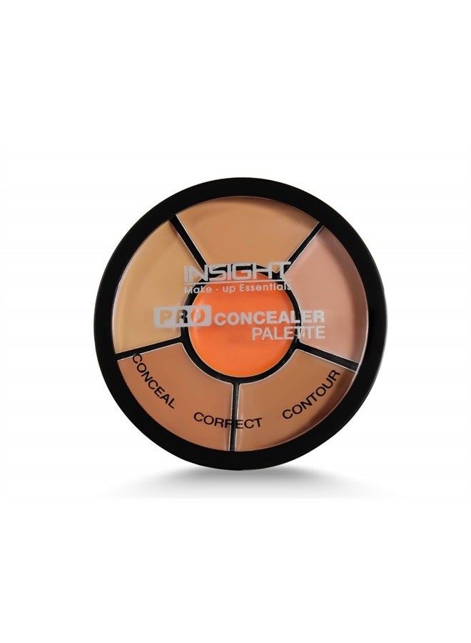 Cosmetics Pro Concealer Palette - Concealer, 15gm