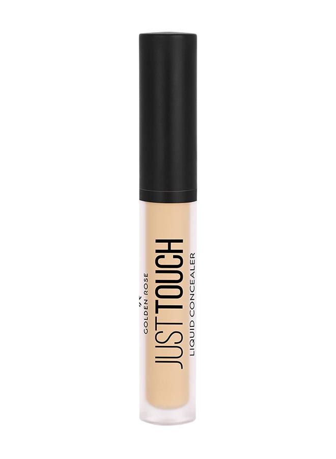 Just Touch Liquid Concealer No:04
