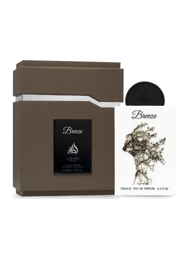 Breeze EDP 100 ml - image 2