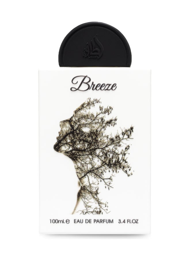 Breeze EDP 100 ml