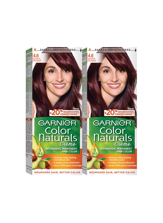 Color Naturals 4.6 Burgundy Haircolor Pack of 2