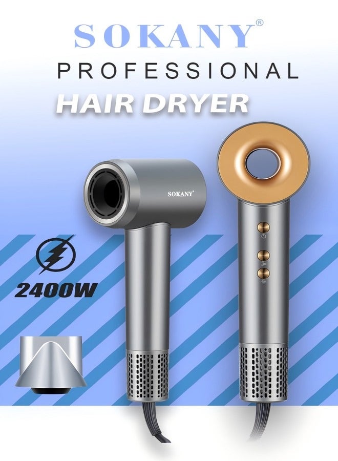 Negative Ion Hair Dryer, Household Multifunctional Quick Drying Hair Dryer, 2400 Watts, Temperature And Speed Adjustable In Multiple Levels, Silver Theme+Gold Button (Model: SK-14020） - Plug: European Standard