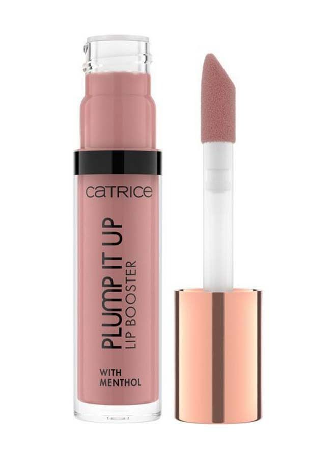 Plump It Up Lip Booster 040 Prove Me Wrong