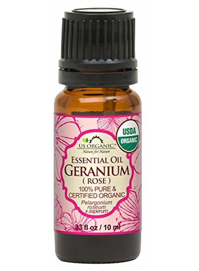 100% Pure Rose Geranium Essential Oil (Sourced from South Africa) - USDA Certified Organic, Steam Distilled (10 ml)