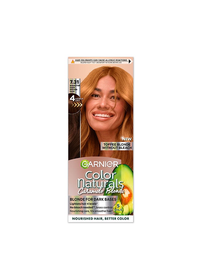 Garnier Color Naturals Caramelo Blonde Toffee Blonde 7.31 Blonde for Dark Bases