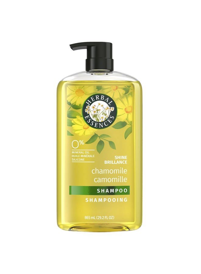 Shine Collection Shampoo