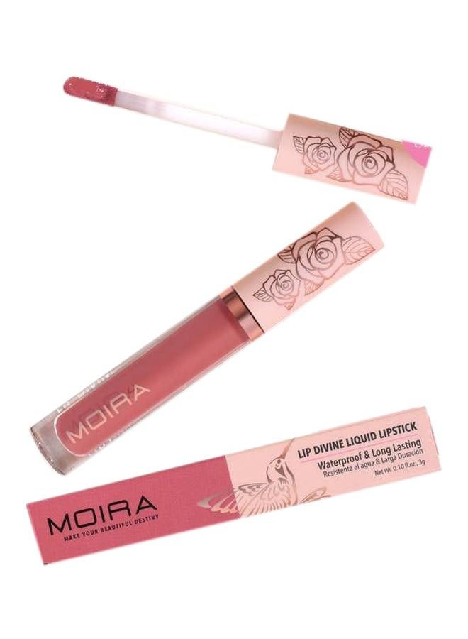 Lip Divine Liquid Lipstick (023, Charm)