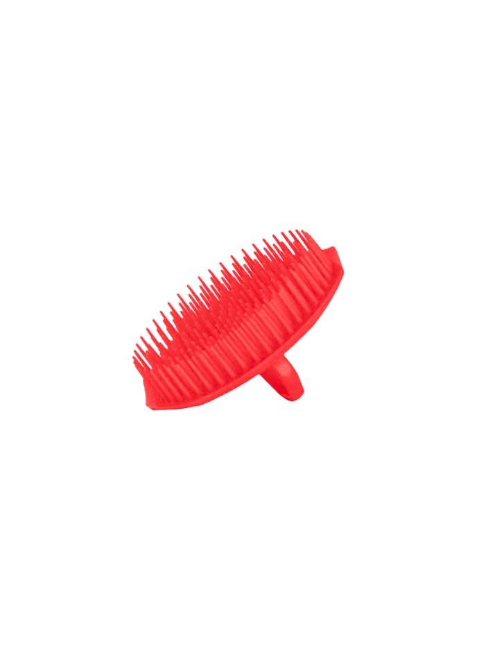 Assorted Shampoo Hair Brush