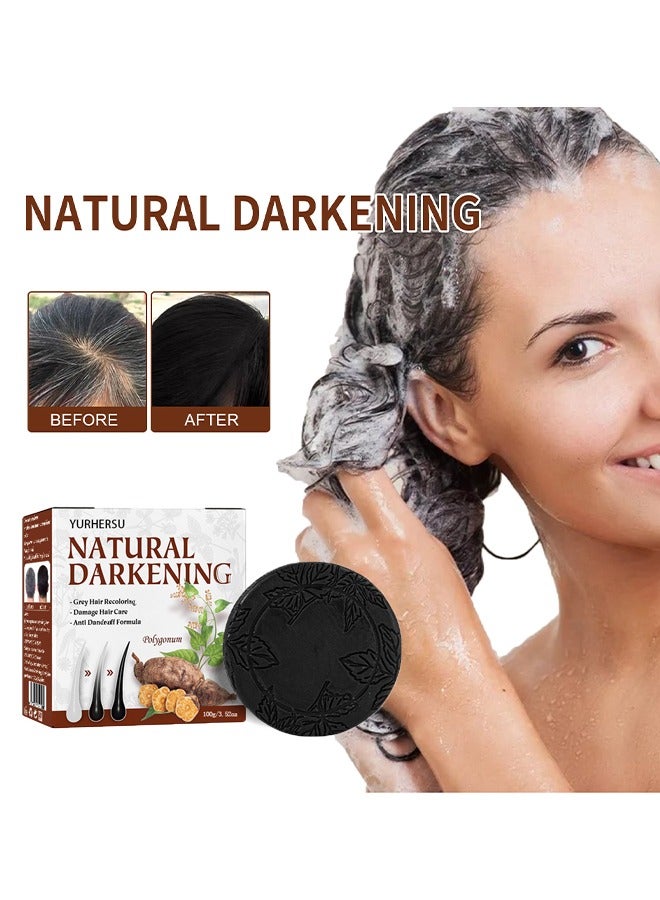 Grey Hair Reverse Bar, Mane Root Activator Shampoo and Hair Color Restorer, Reverse Grey Hair Bar Shampoo, Natural Hair Darkening Soap for Grey Hair Care