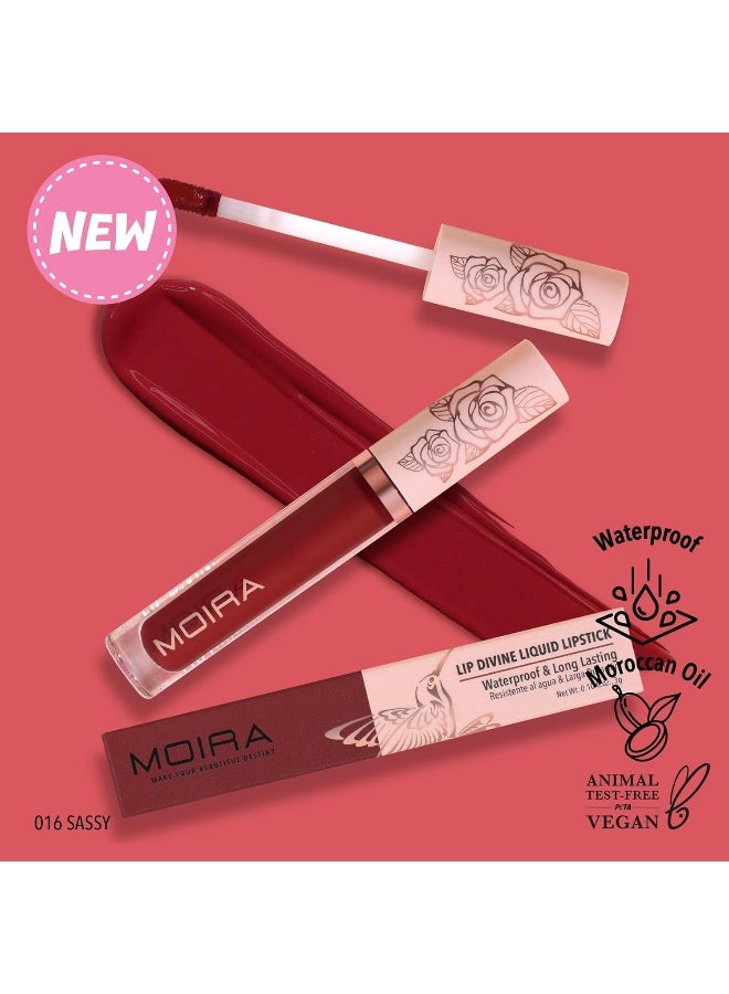 Lip Divine Liquid Lipstick (016, Sassy) - image 2