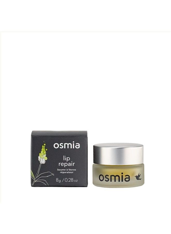 Osmia - Natural Lip Repair Overnight Mask + Hydrating Gloss | Clean Beauty For Healthy Skin (0.26 oz | 7.7 g)