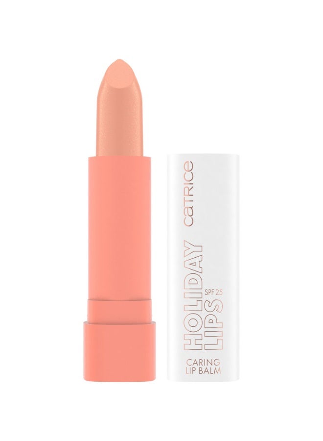 Holiday Lips Caring Lip Balm 040