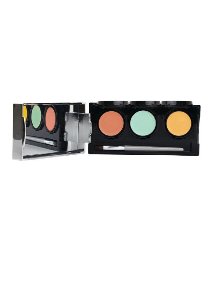 Color Correcting Palette, Color Corrector Concealer for Dark Circles, Redness, Bruises, Dark Spots, by Dermaflage 6.9g/.24oz