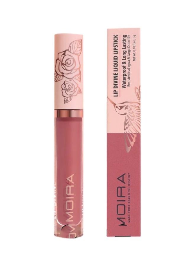 Lip Divine Liquid Lipstick (019, Love)