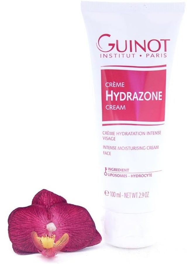 Hydrazone Moisturising Care for All Skin Types 100ml (Salon Size)